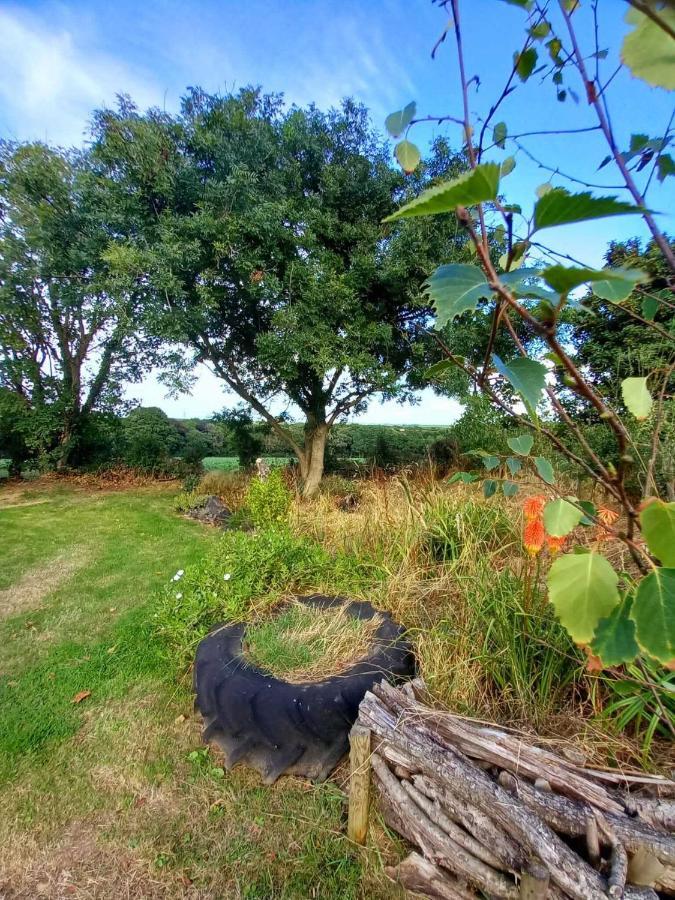 Field Hut Villa Wadebridge Eksteriør billede